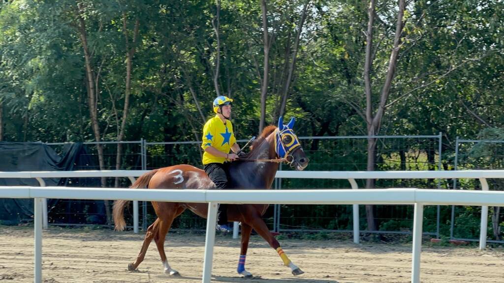 Palio di Legnano, corse settembre 2025