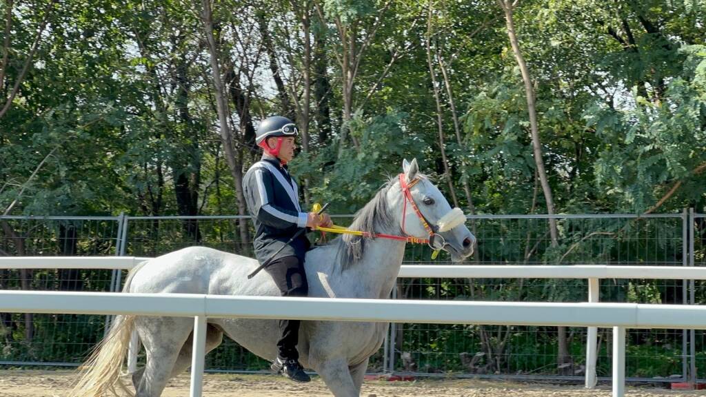 Palio di Legnano, corse settembre 2025