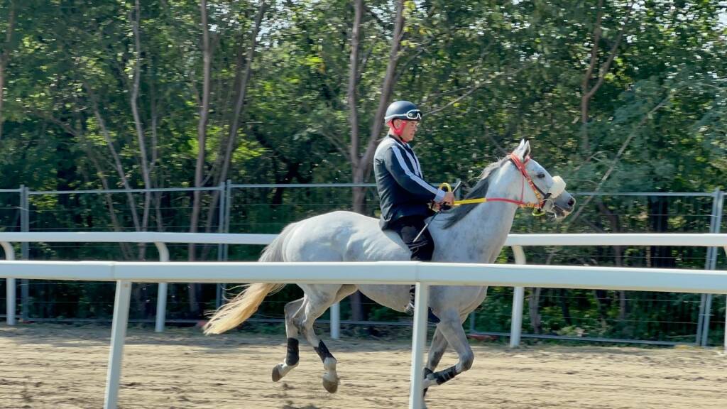 Palio di Legnano, corse settembre 2025