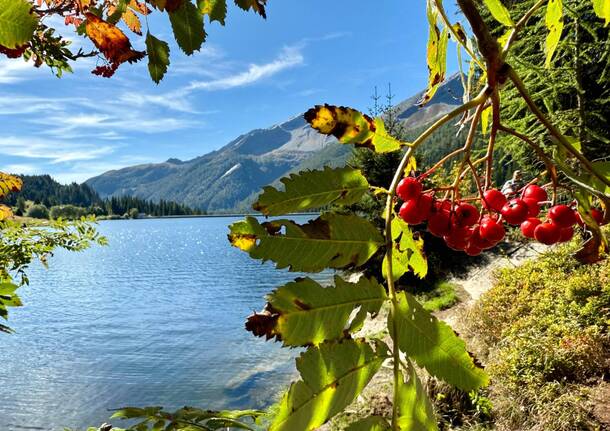 panorama lago - foto di giuseppe geneletti
