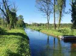 Parco delle Groane varie