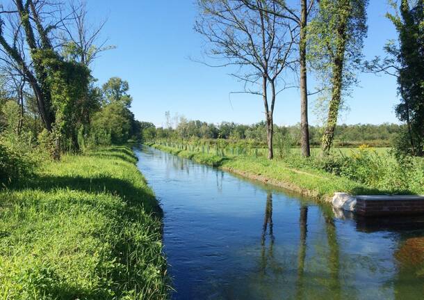 Parco delle Groane varie