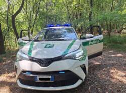 Polizia Locale bosco generica boschi