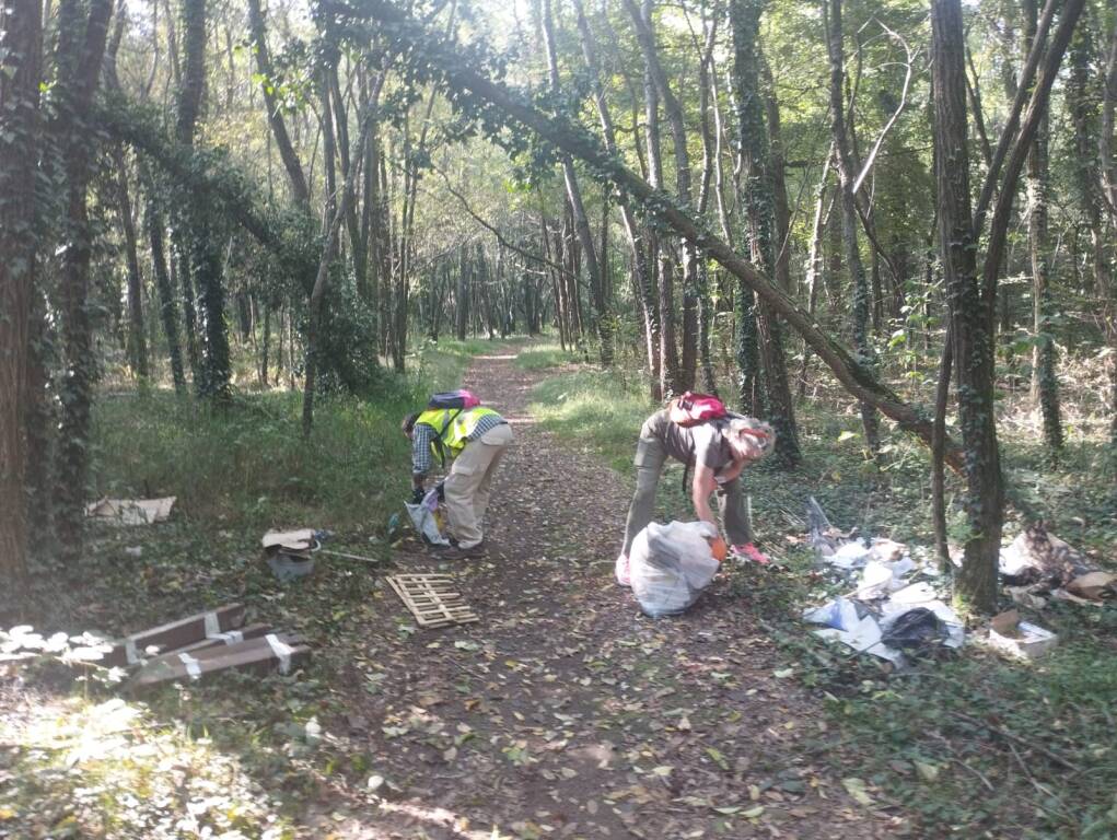 Pulizia del Bosco del Rugareto con i volontari di "Adotta un sentiero"