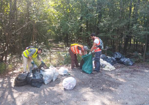 Pulizia del Bosco del Rugareto con i volontari di "Adotta un sentiero"