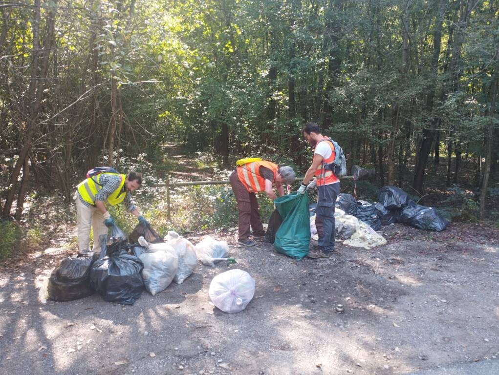 Pulizia del Bosco del Rugareto con i volontari di "Adotta un sentiero"