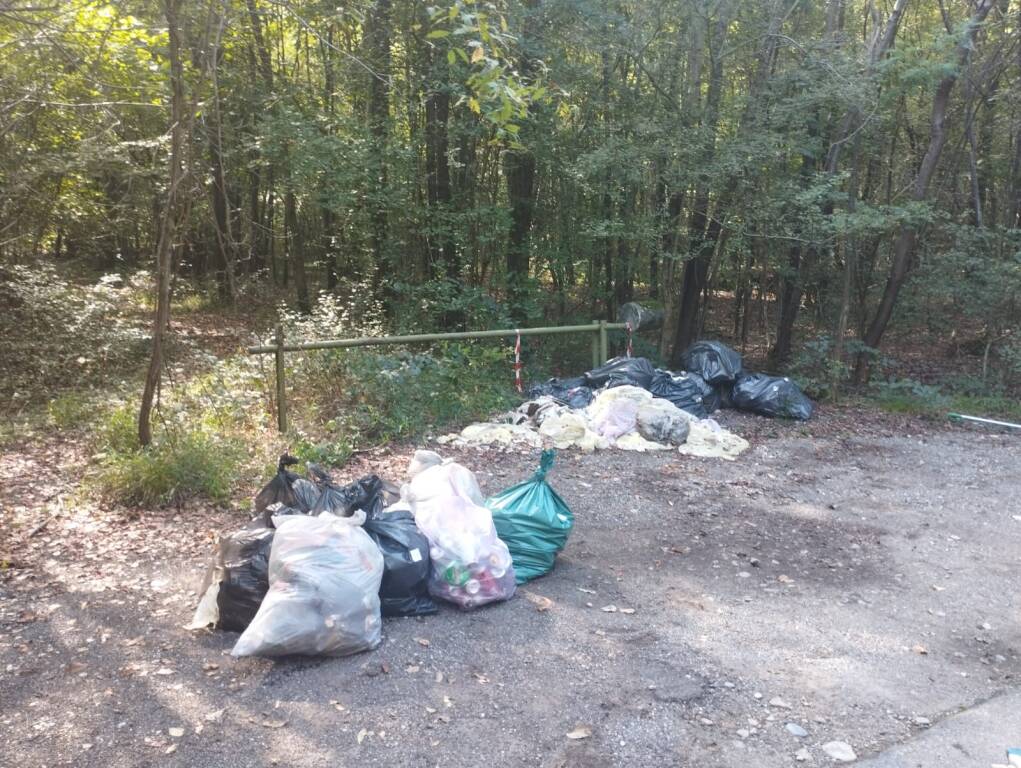 Pulizia del Bosco del Rugareto con i volontari di "Adotta un sentiero"
