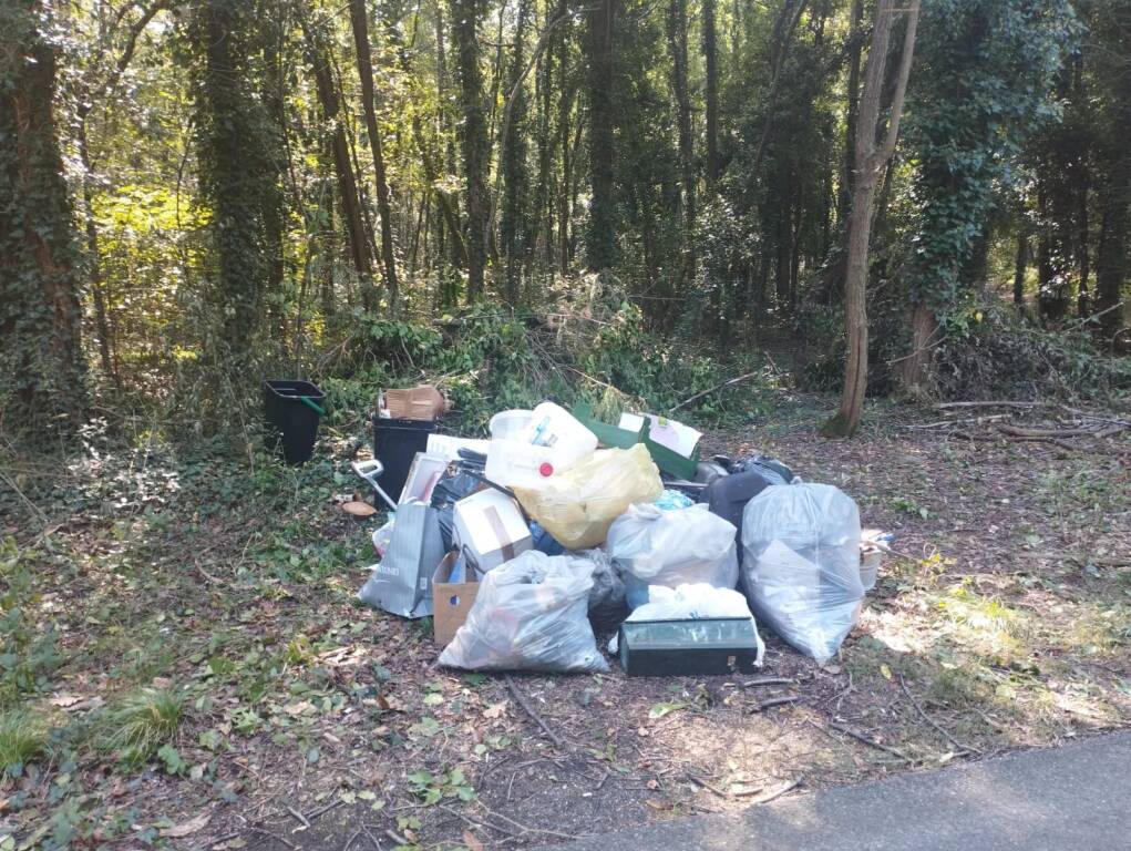 Pulizia del Bosco del Rugareto con i volontari di "Adotta un sentiero"