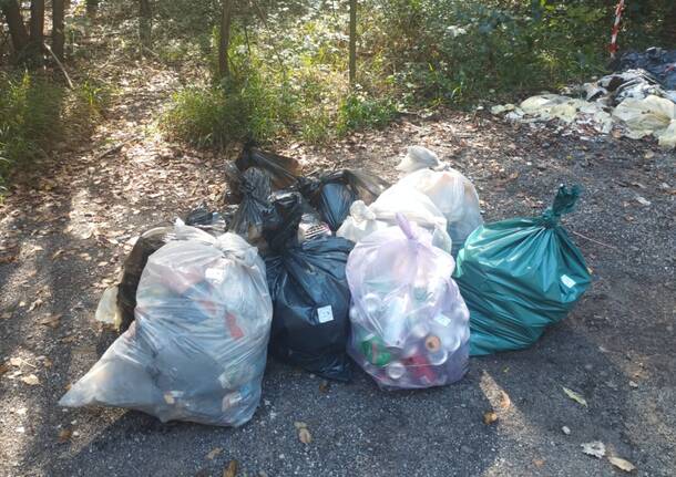 Pulizia del Bosco del Rugareto con i volontari di "Adotta un sentiero"