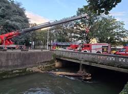 Recupero albero dal fiume Olona a Legnano: 25 settembre 