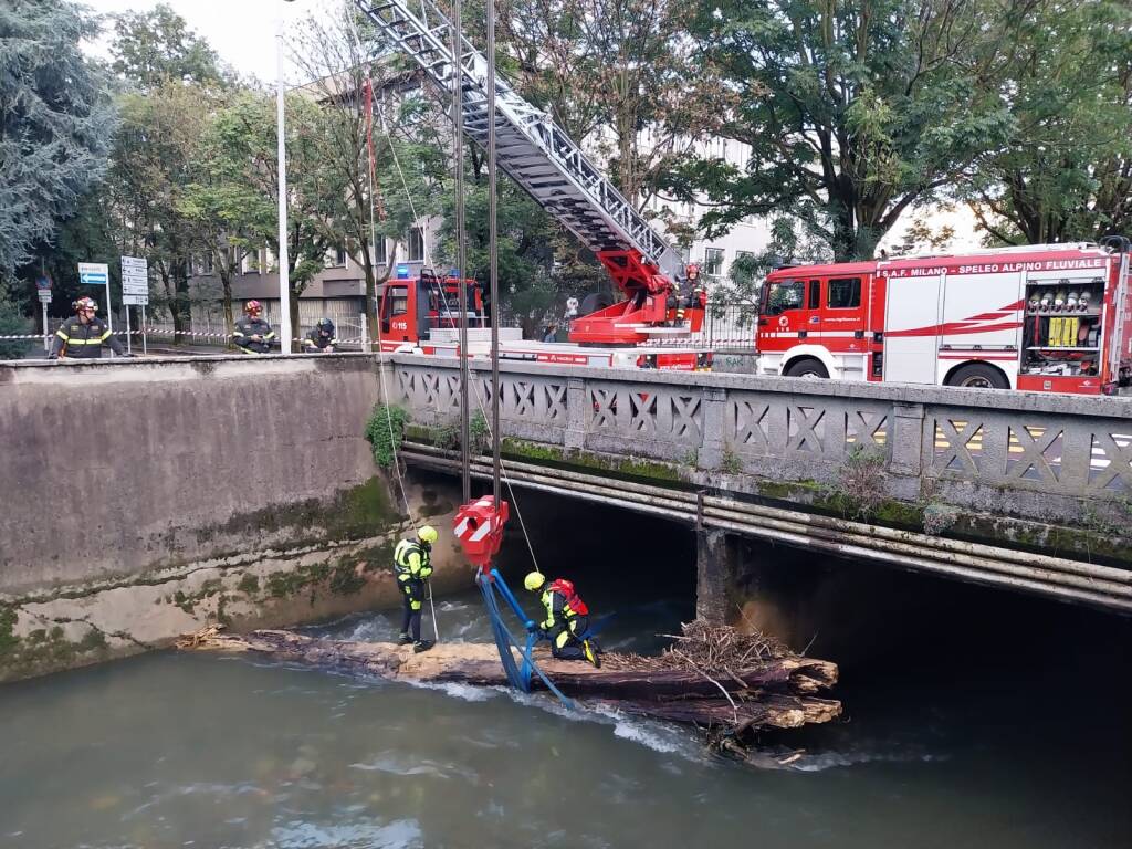 Recupero albero dal fiume Olona a Legnano: 25 settembre 