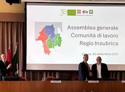 regio insubrica