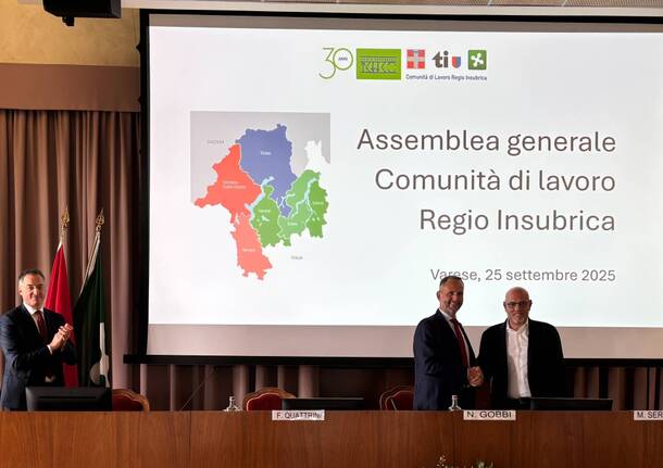 regio insubrica