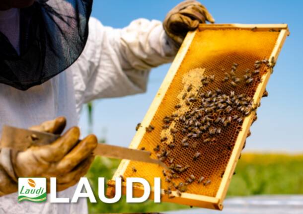 Lausi Srl