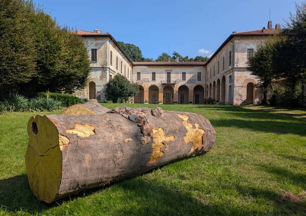 Somma Art Week
