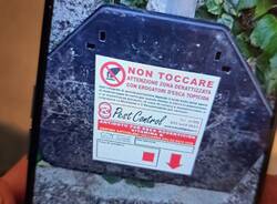 trappole