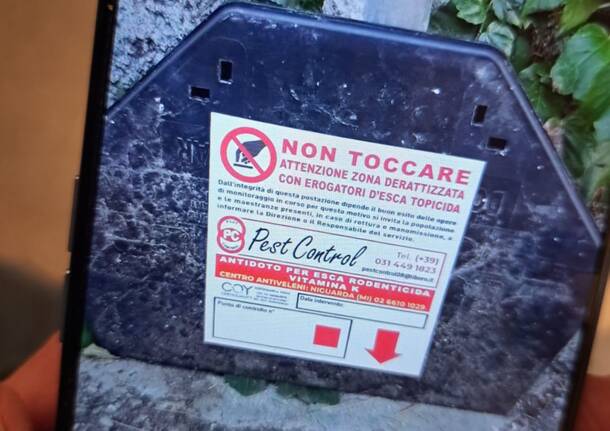 trappole