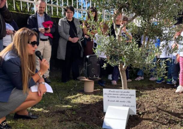 L’ulivo in memoria della Maestra Nika e la Festa della Meraviglia a Cazzago Brabbia