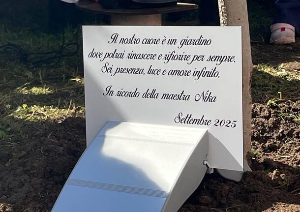 ulivo per nika