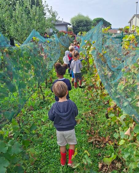 Vendemmia in gioco: i bambini di Lissago tra uva, arte e creatività