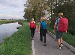 Via Francisca Castellanza Pavia