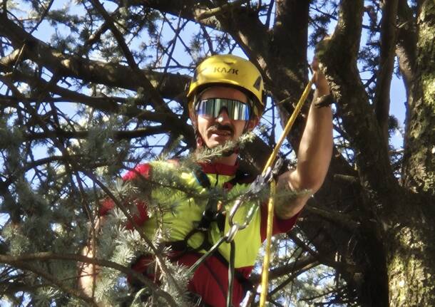 Volontari al lavoro per la potatura degli alberi alla scuola di Sant'Ilario