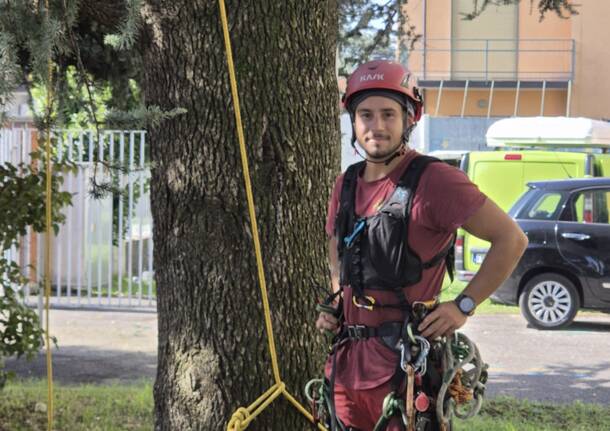 Volontari al lavoro per la potatura degli alberi alla scuola di Sant'Ilario