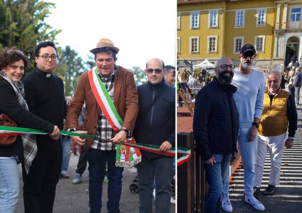 albizzate polemica parchetto