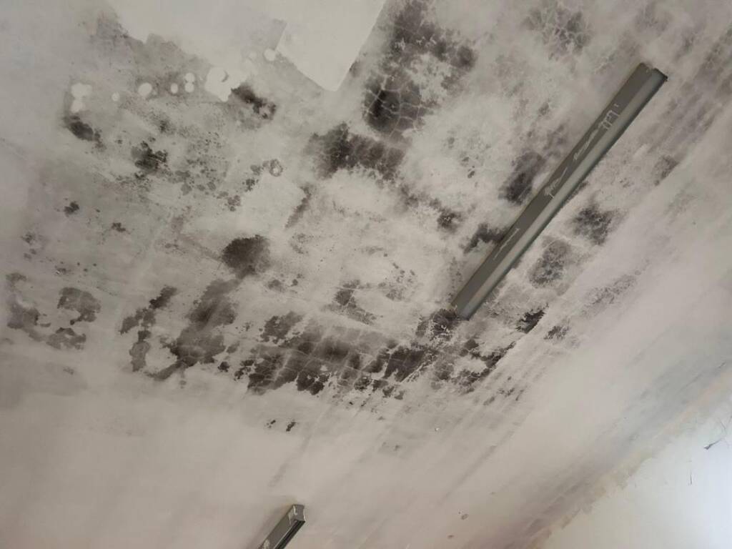 Bagni palestra parabiago