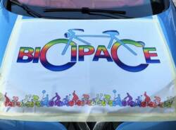 bicipace