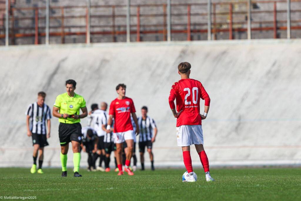 calcio varese biellese