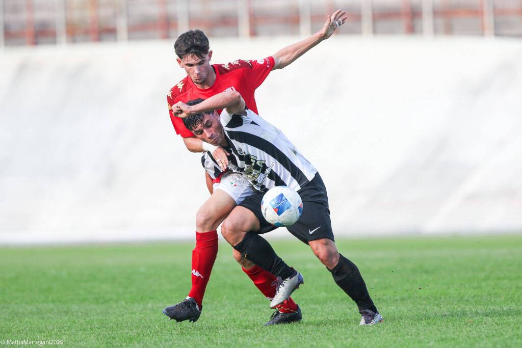 calcio varese biellese