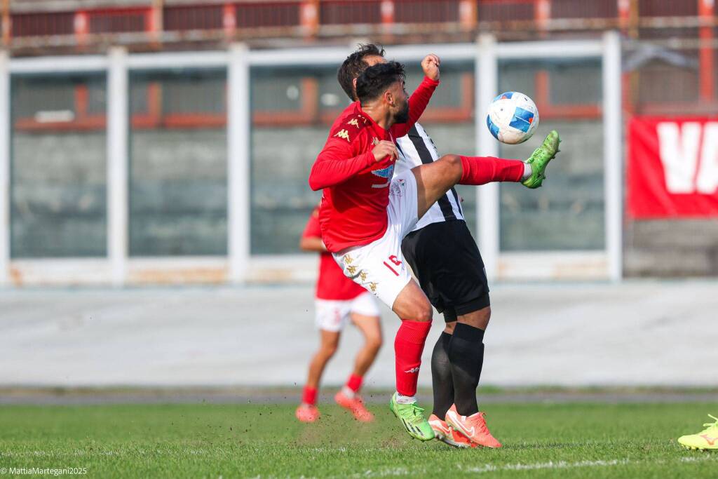 calcio varese biellese