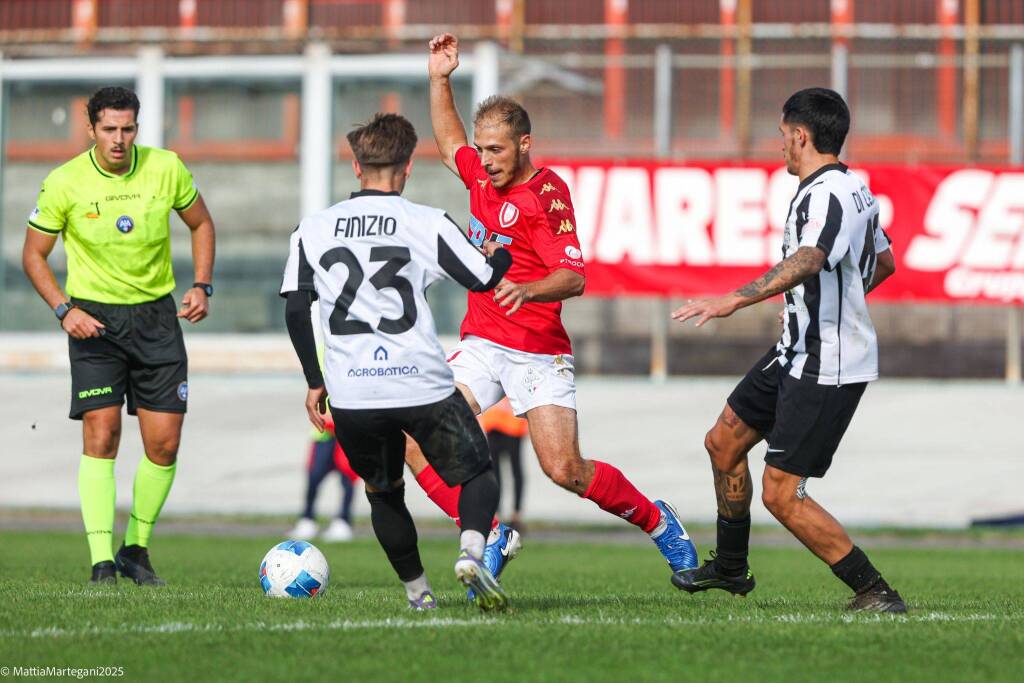 calcio varese biellese