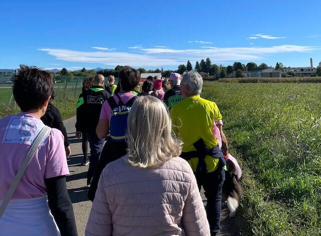Camminata in rosa