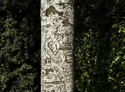 Albero memoria