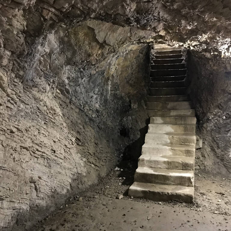 La passeggiata didattica alla Linea Cadorna