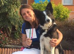 Auguri Maya, border collie di 18 anni