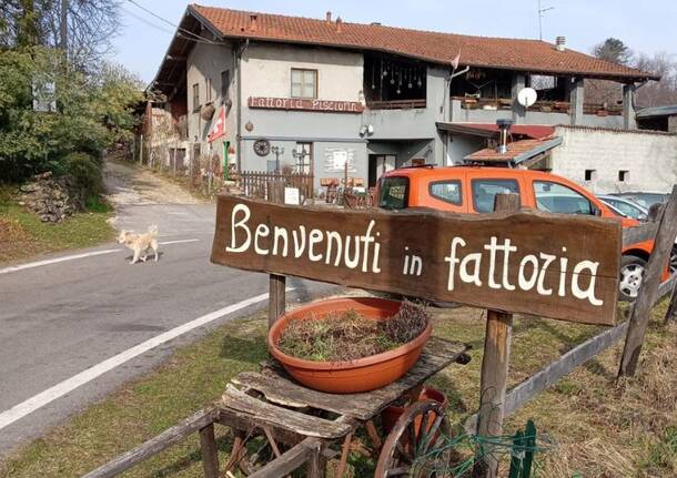 Castagnata Agriturismo Fattoria Pisciurin