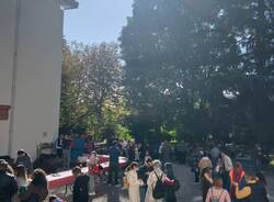 castagnata primaria galilei