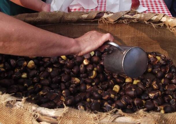 castagne varano borghi