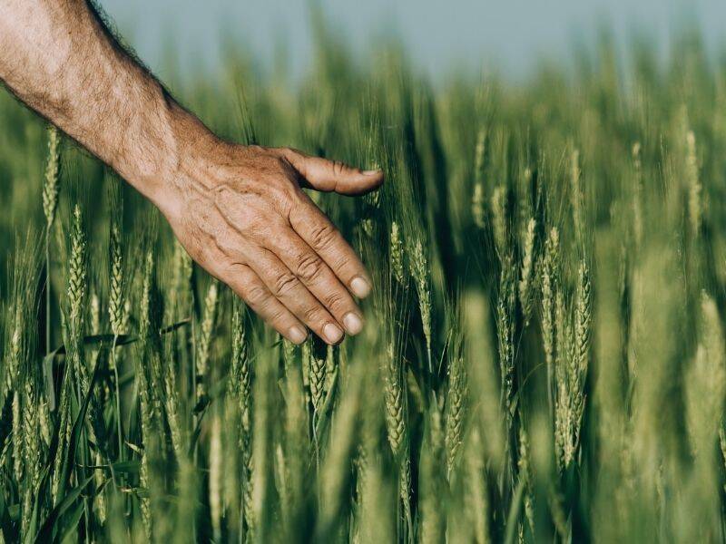 Coldiretti mercatino Varese