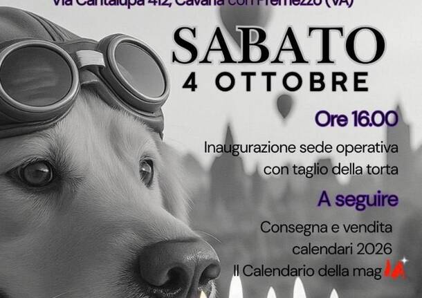 CSV Insubria