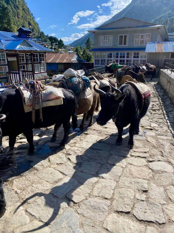 Dario Nepalese - San Luckla