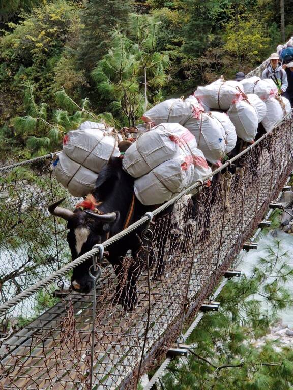 Diario Nepalese 2025 - Beneficienza, ecologia e traffico