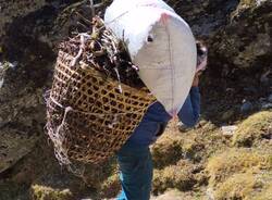 Diario Nepalese 2025 - Del doman non v’è certezza