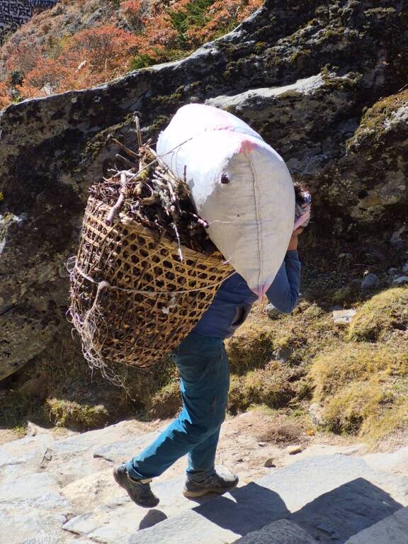 Diario Nepalese 2025 - Del doman non v’è certezza