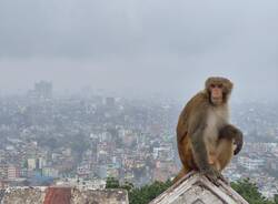 Diario Nepalese 2025 - Kathmandu sotto la pioggia