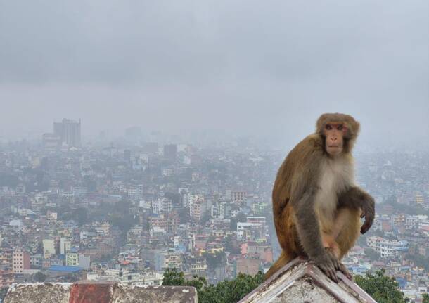 Diario Nepalese 2025 – Kathmandu sotto la pioggia