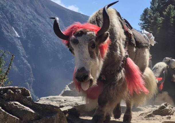 Diario Nepalese 2025: la sveglia dei monaci